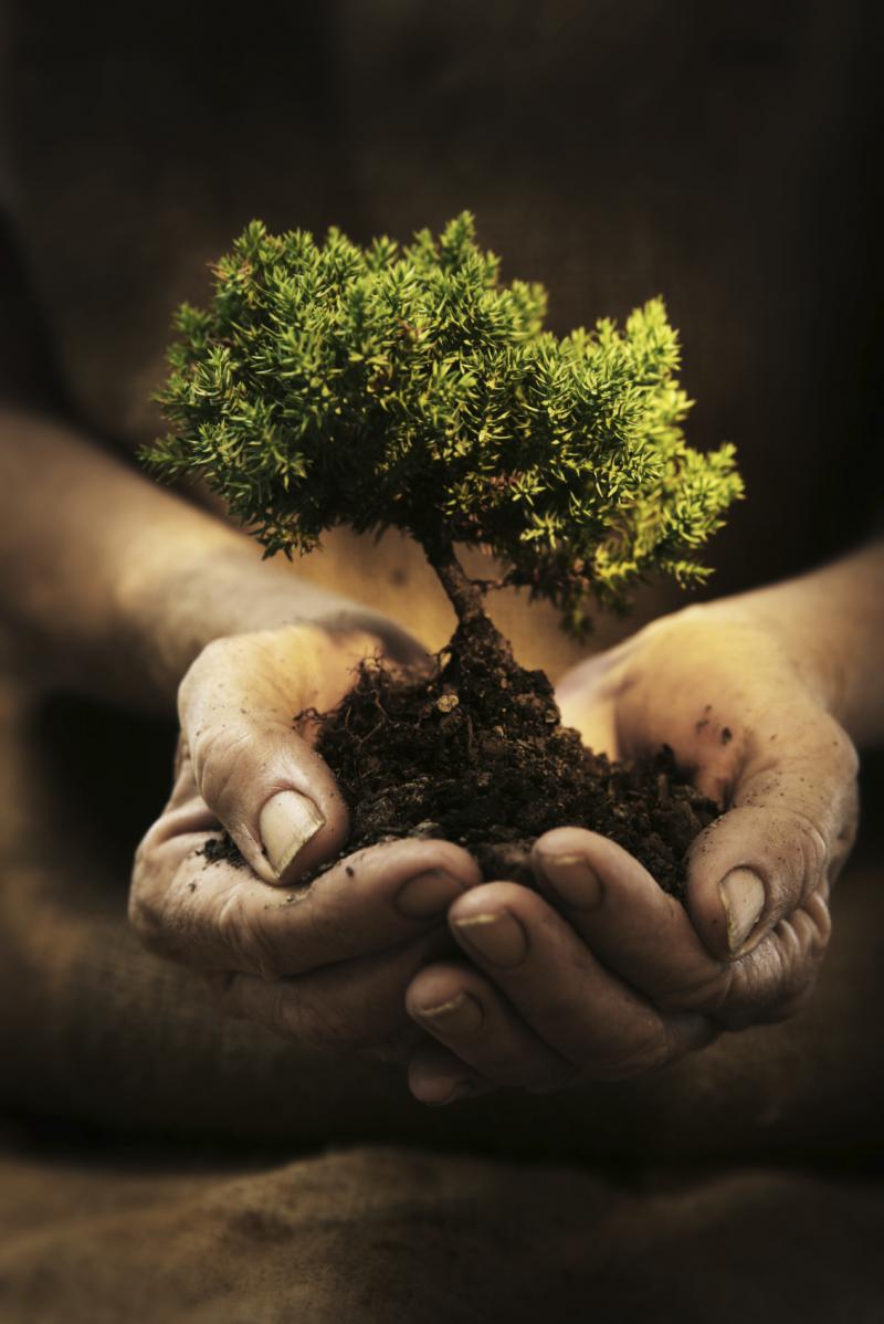 agro-law.ru